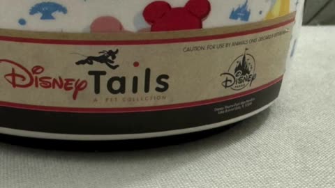 Disney Parks Mickey Mouse Snack Pattern Pet Dish for a Dog or Cat #shorts