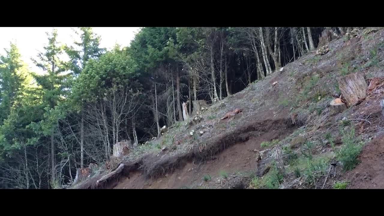 Marijuana and the Environment