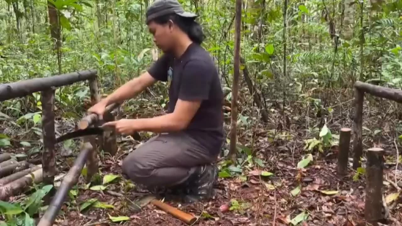 Build shelters in the wild
