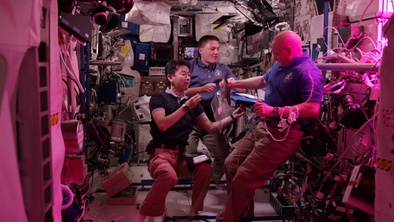Space in 4K - First Lettuce Grown and Eaten in Space.