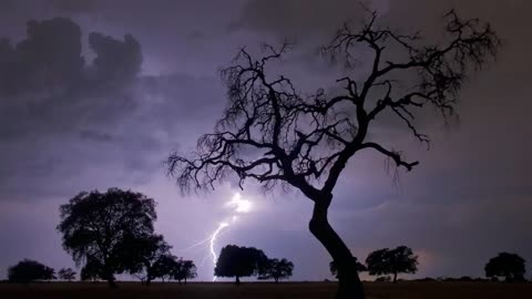 Sound of rain and thunders to sleep