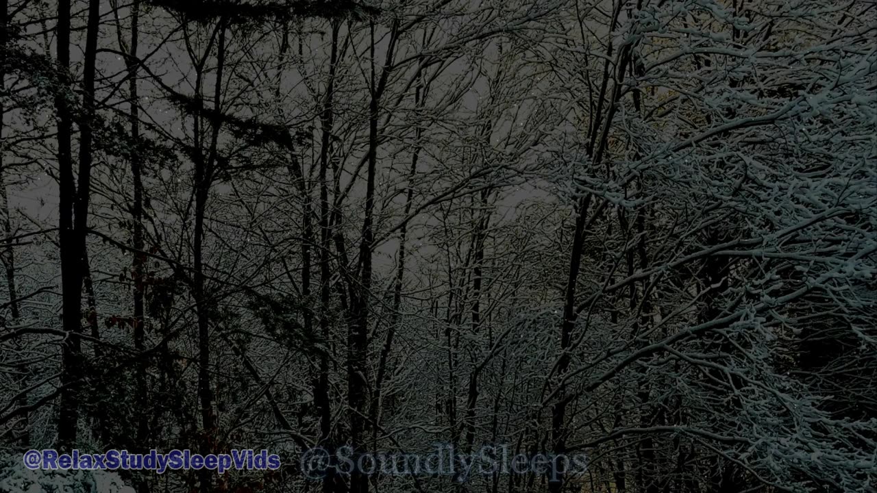 2 Hours of Light Snowfall (Screen Darkens after 1 Hour)