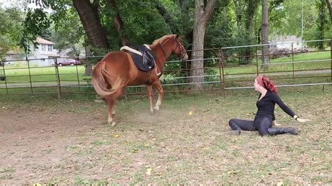 Acrobatics off a horse ( falling ) PIVO