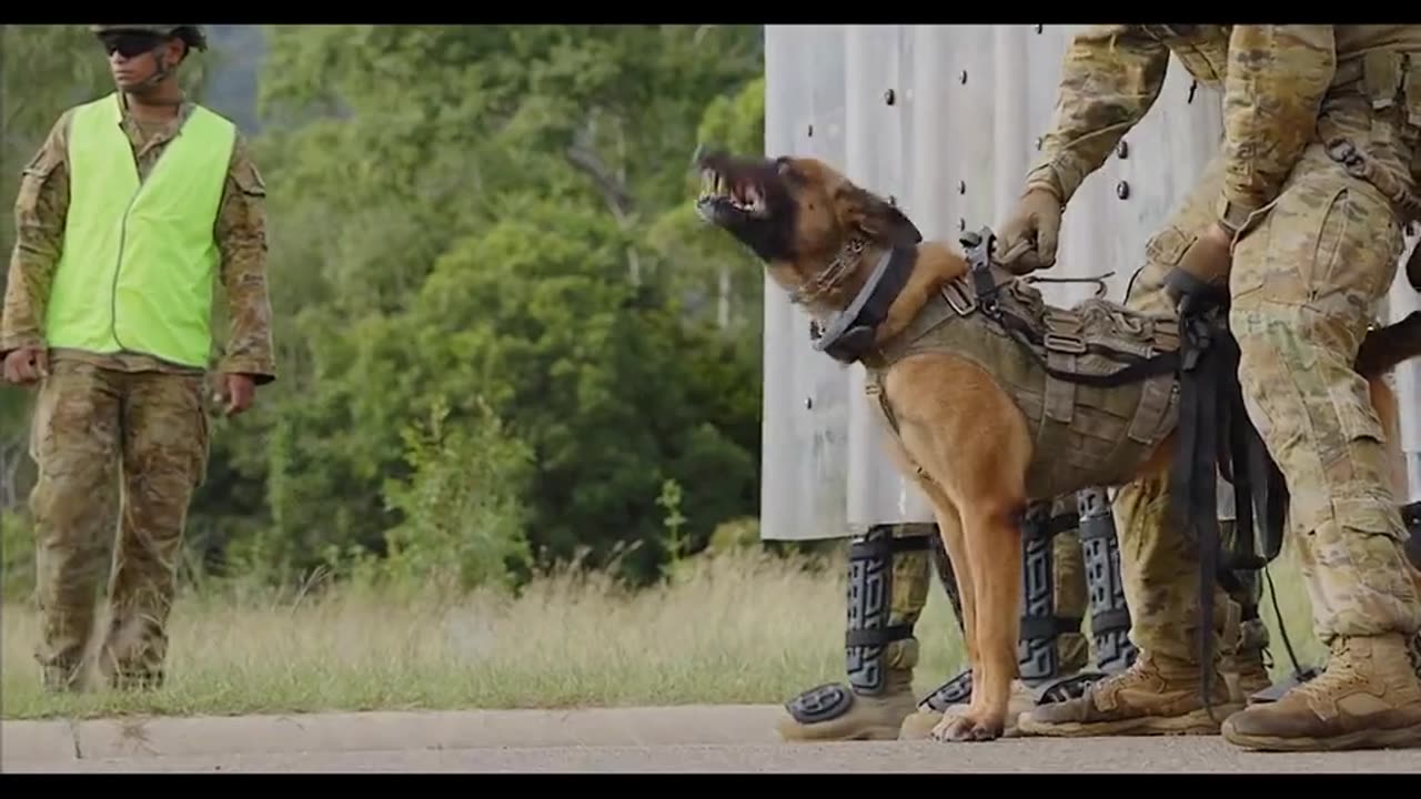 AustralianArmy releases a video depicting its troops preparing to fight against Australians