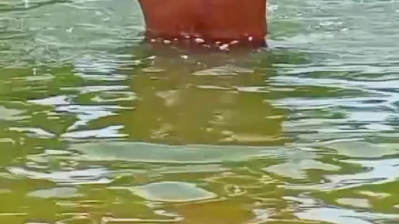 At godavari hunted river doing bath with power 😱