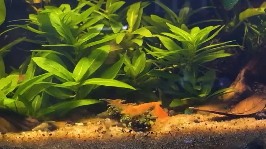 One & Year & Ago & I Built an Ecosystem, This Happened