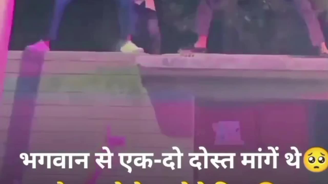 Funny video
