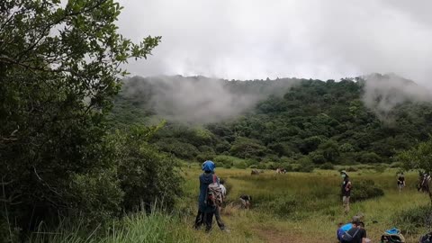 mist in Xiangtian Pond