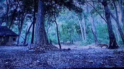 Mom love 🥰🥺❤️