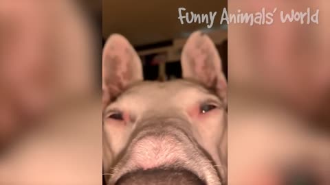 What are you looking at