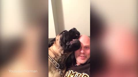 This Dog REALLY Hates His Human's Singing And Would Like This Fresh Hell To Stop