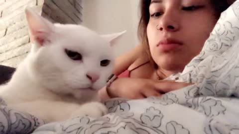 Woman Gives Her Cat Kisses But The Cat Doesn't Like It