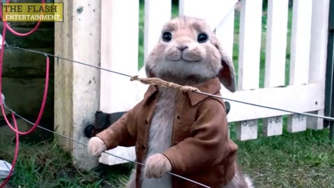 PeterRabbit