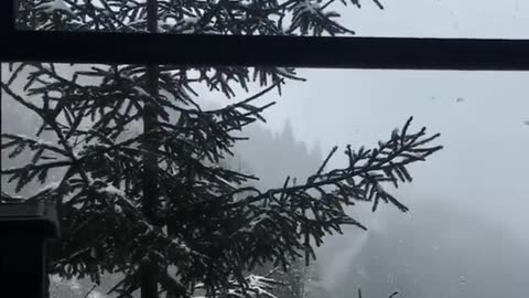 Cold and warm