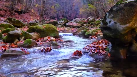 Nature ! Autumn ! 4K ! Relaxation