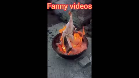 funny videos 2023