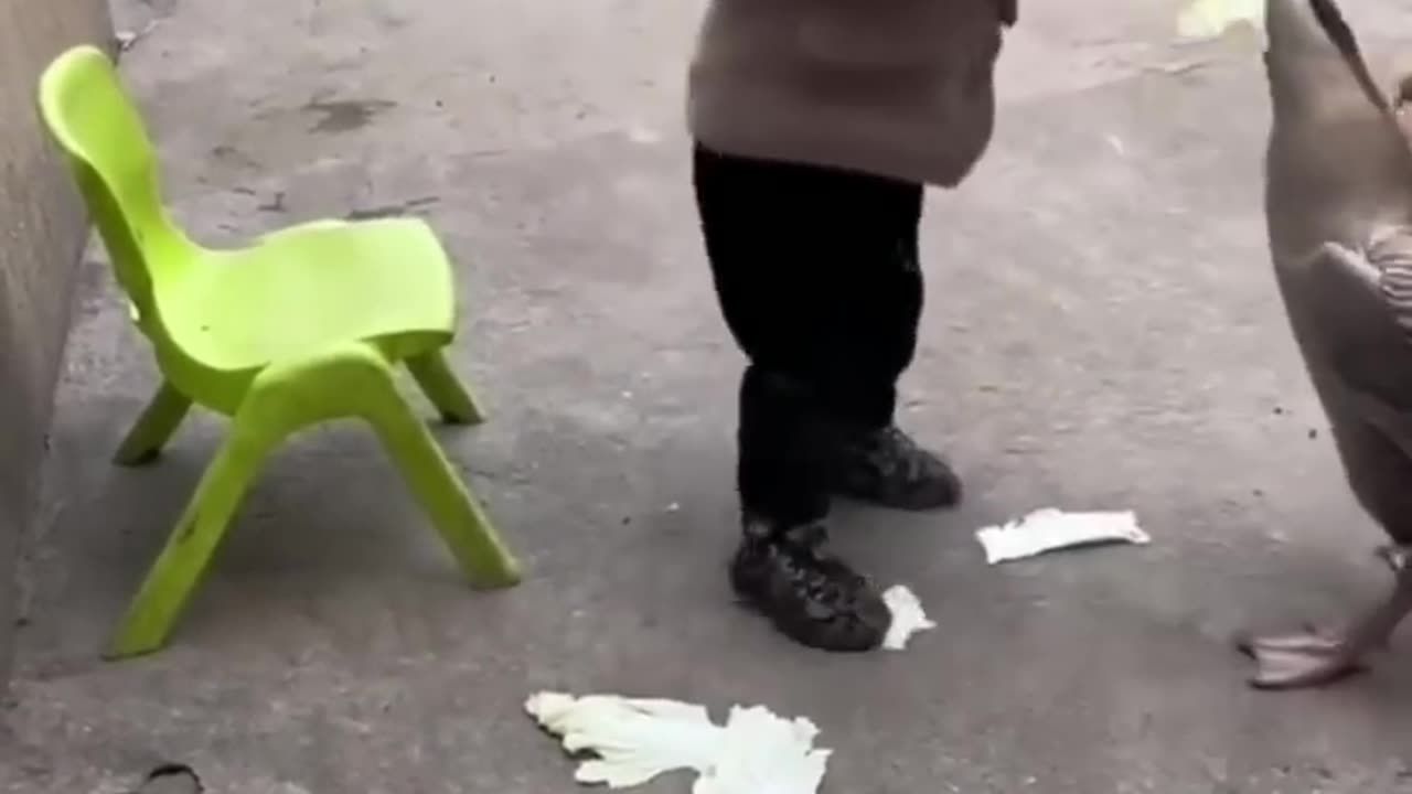 Cute kids