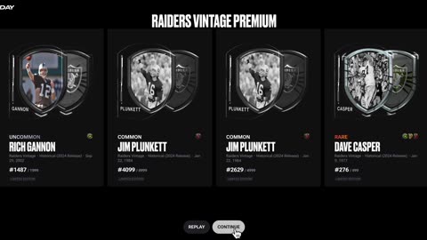 NFL ALL DAY Raiders Vintage Premium Pack NFL NFT