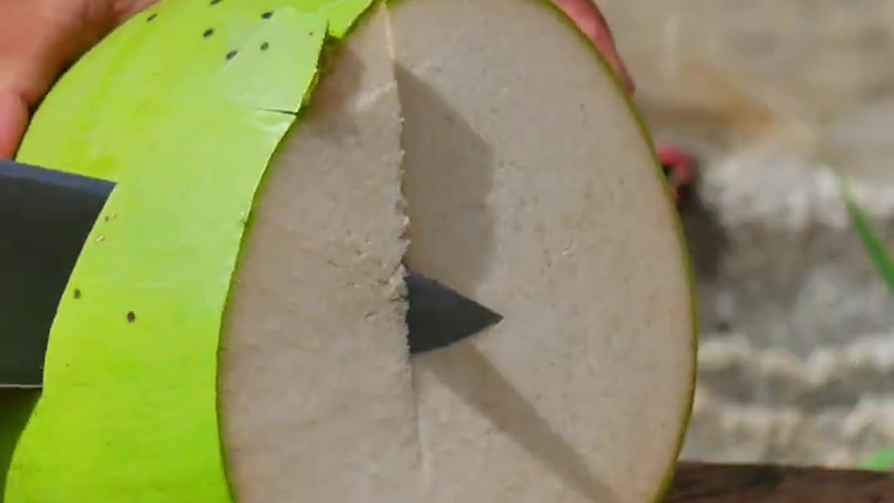 fantastic coconut satisfying video