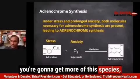 Adrenochrome by Dr. Shiv