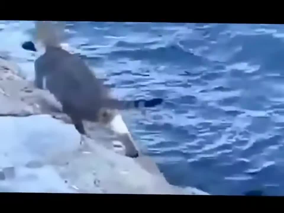 Funny fishing moment