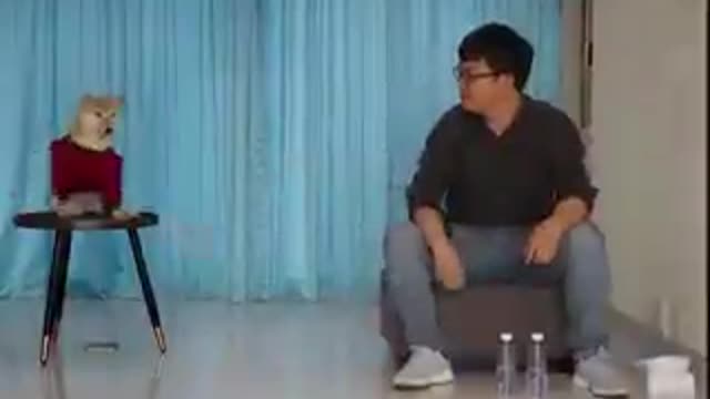 Boy And Dog Funny Video New 2021