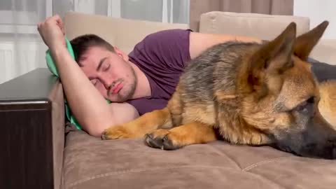 German Shepherd Reacts to My Snoring