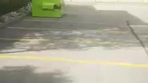 The Gopher