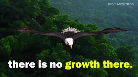 The Eagle Mentality Best Motivational Video