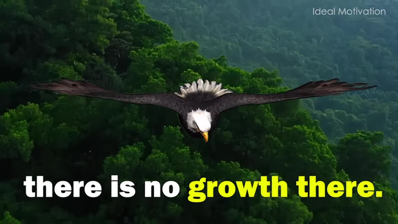 The Eagle Mentality Best Motivational Video