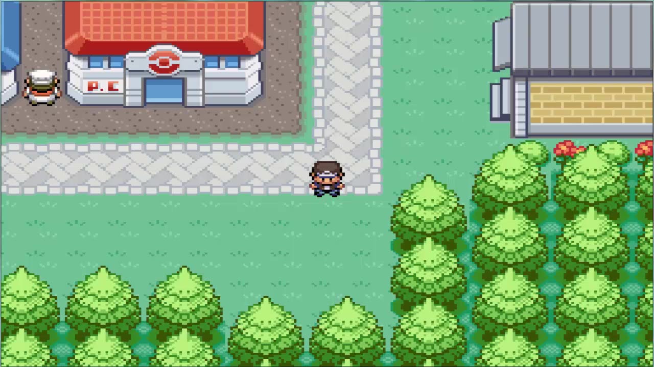 Pokémon Zeta Episode 4 Devon The Fighter
