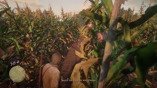 rdr2 walkthrough, magicians for sport mission