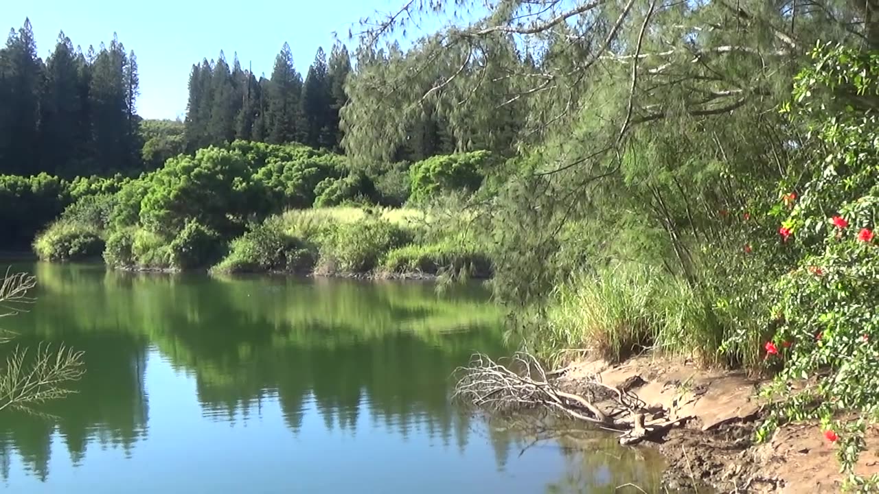 Kapalua, HI — Kapalua Village Walking Trails - Duck Pond