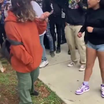 A shy white girl surrounded by the pack of usual suspects gets beaten up and