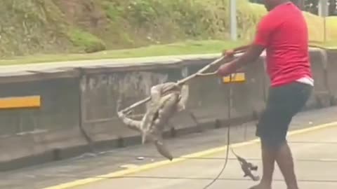 He was so slow that he had to be helped across the road