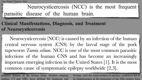 Chronic Headaches and Pork Tapeworms