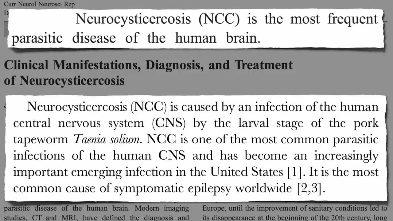 Chronic Headaches and Pork Tapeworms