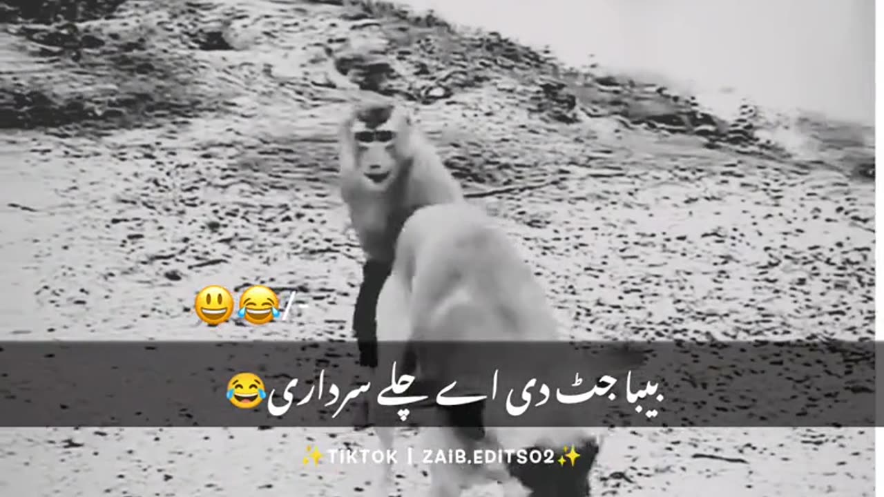 Enjoy
