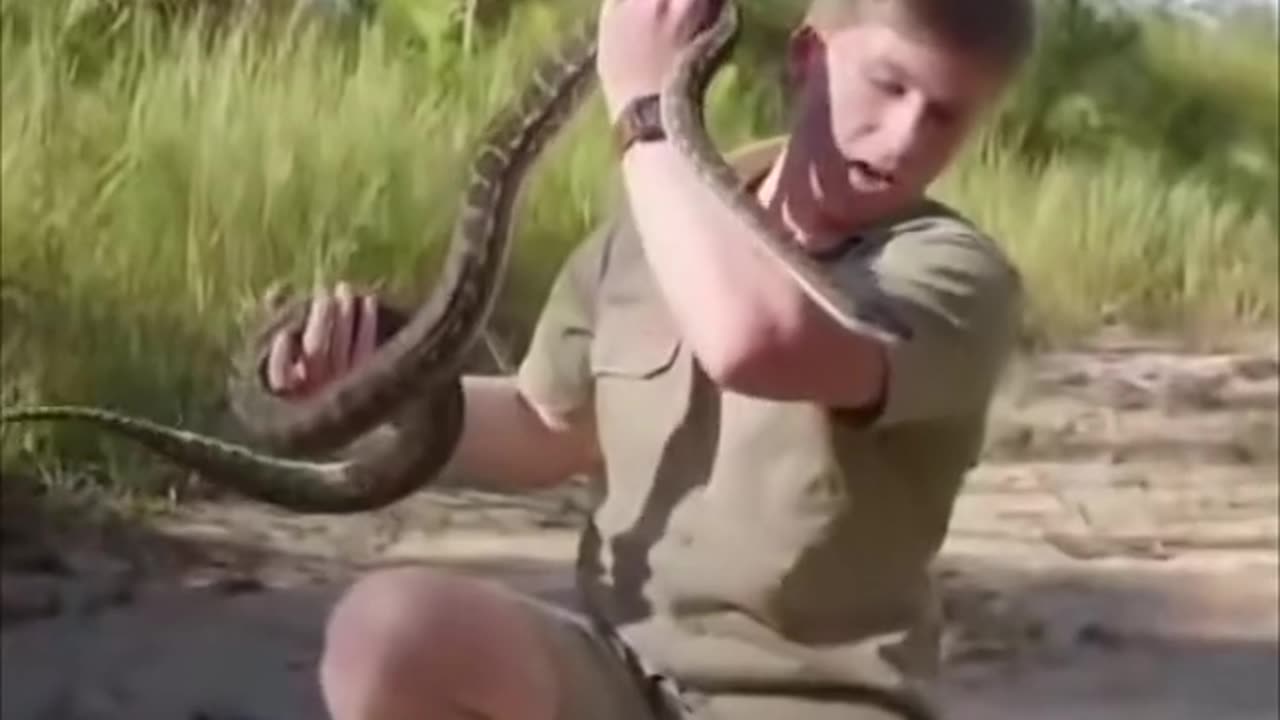 Steve Irwin gets bit by a snake as well as his son years later