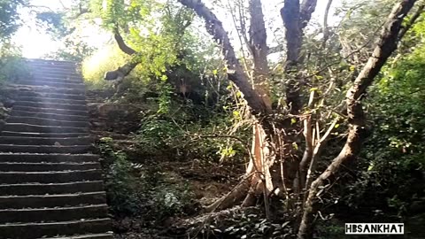 Gir Tapkeshwar Mahadev temple 🥀🙏