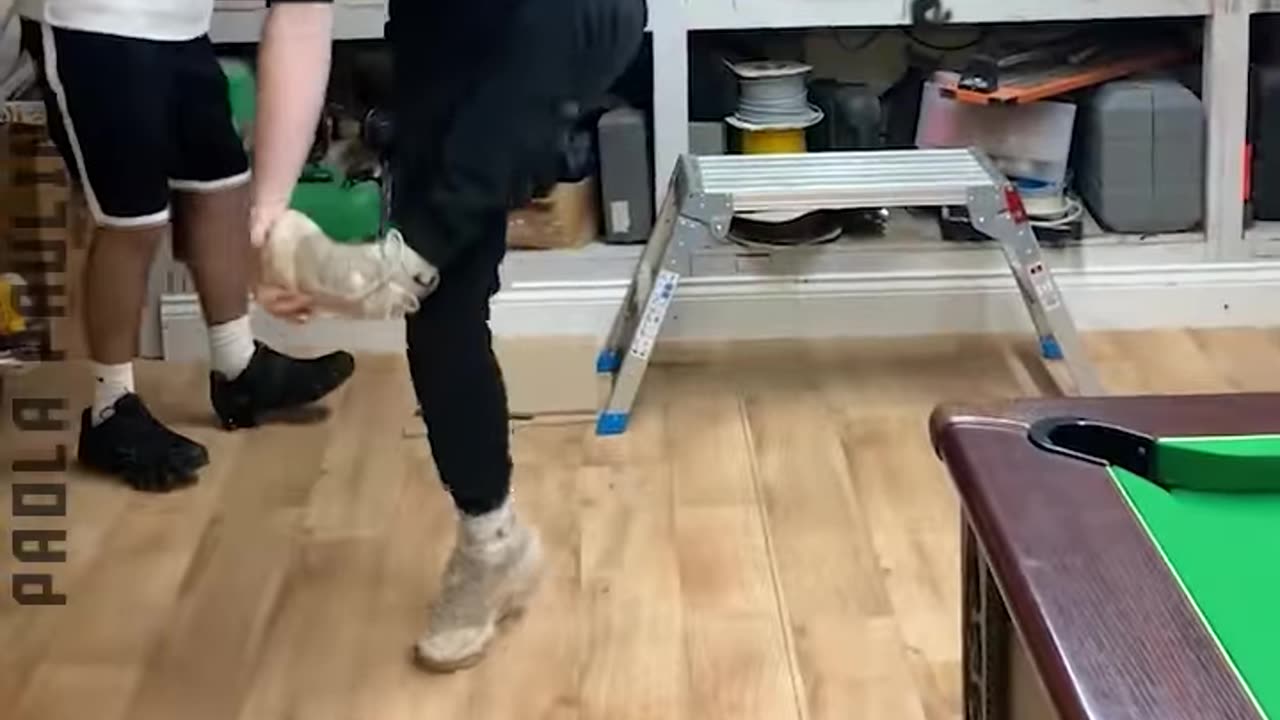 Watch These 28 People Fail