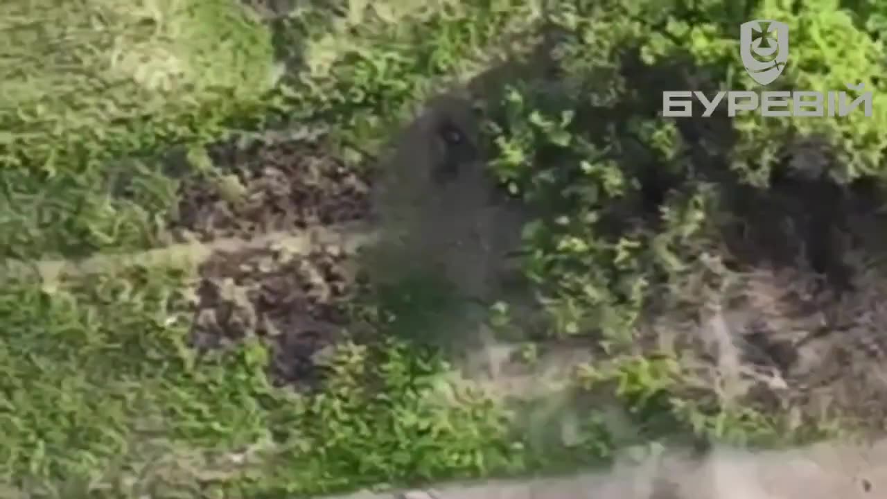 Gymnastics for the occupiers from the Hurricane brigade