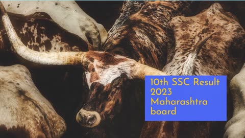 SSC Result 2023 Maharashtra Board Out Here