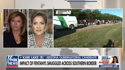 Kari Lake: "It's going to take strong governors to save this country."