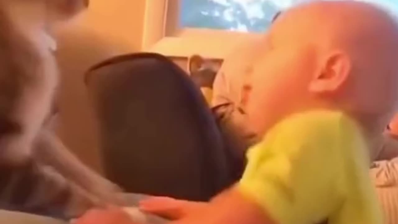 Cute baby and cat funny and love video😍💖😅