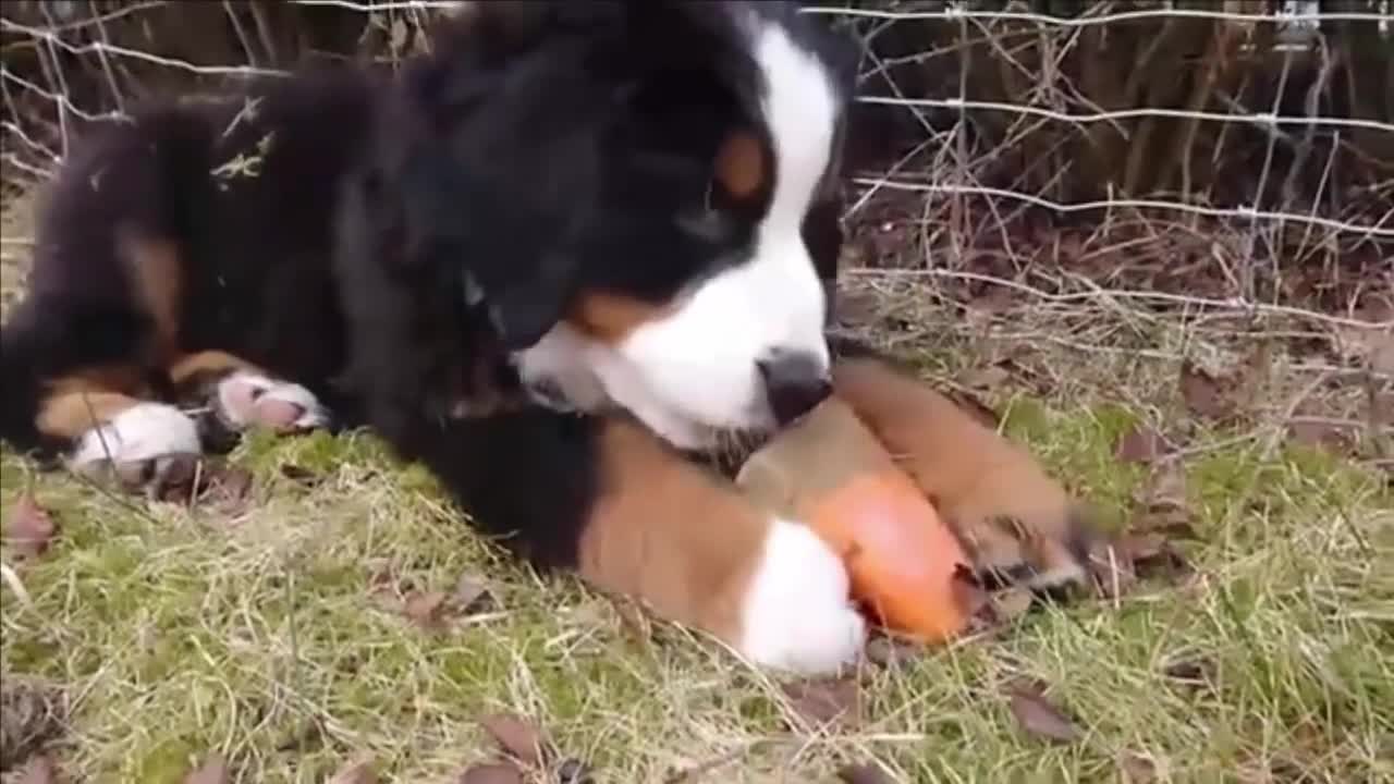 So cute! !