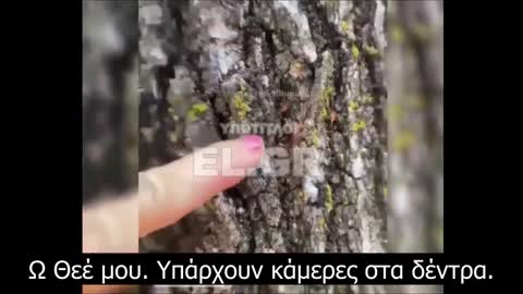 Κάμερες σε δέντρα κατασκοπεύουν τους Αυστραλούς διαδηλωτές. Ποιος παρακολουθεί;