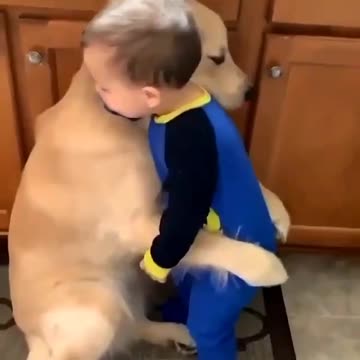Little boy cuddling brown dog in the kitchen. warmly. very fun.