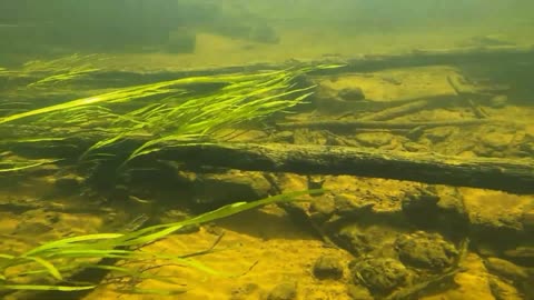 Underwater Adventure
