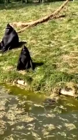 420's CLIP OF THE DAY AUGUST 30, 2024